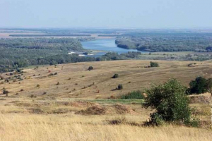 Świat zwierzęcia i warzywnego lasu-step - charakterystyka, lista, tytuły i zdjęcia Świat zwierzęcia i warzywnego lasu-step - charakterystyka, lista, tytuły i zdjęcia